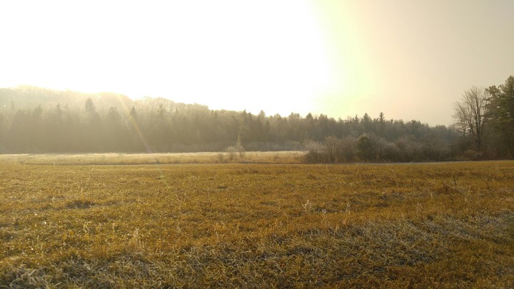 thaw