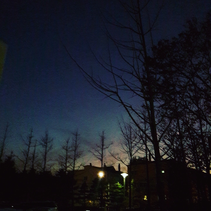 night