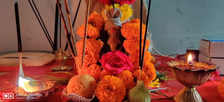 Eco friendly Ganpati