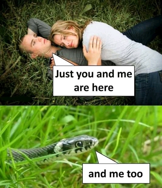 hahaaha  ???