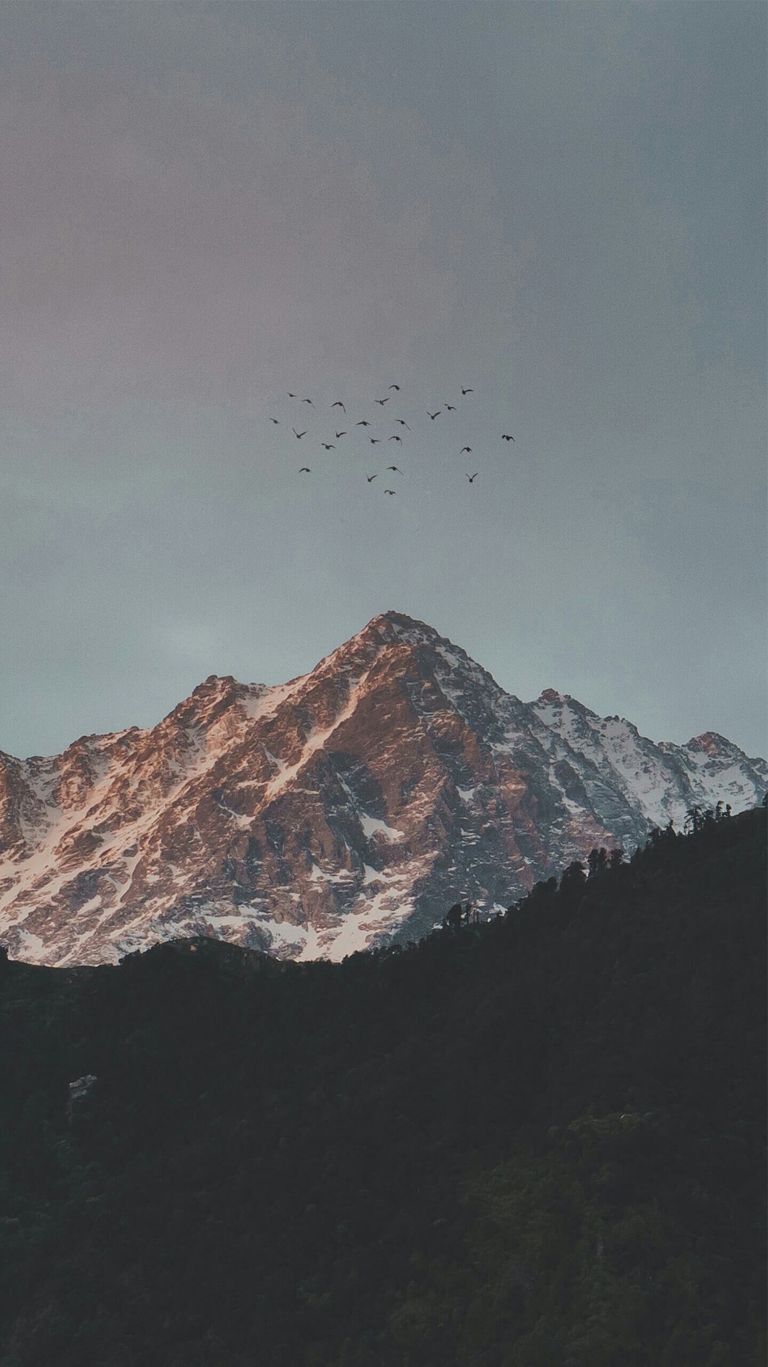 highland, atmosphere wallpapers