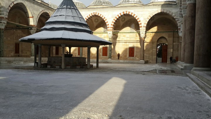 cami