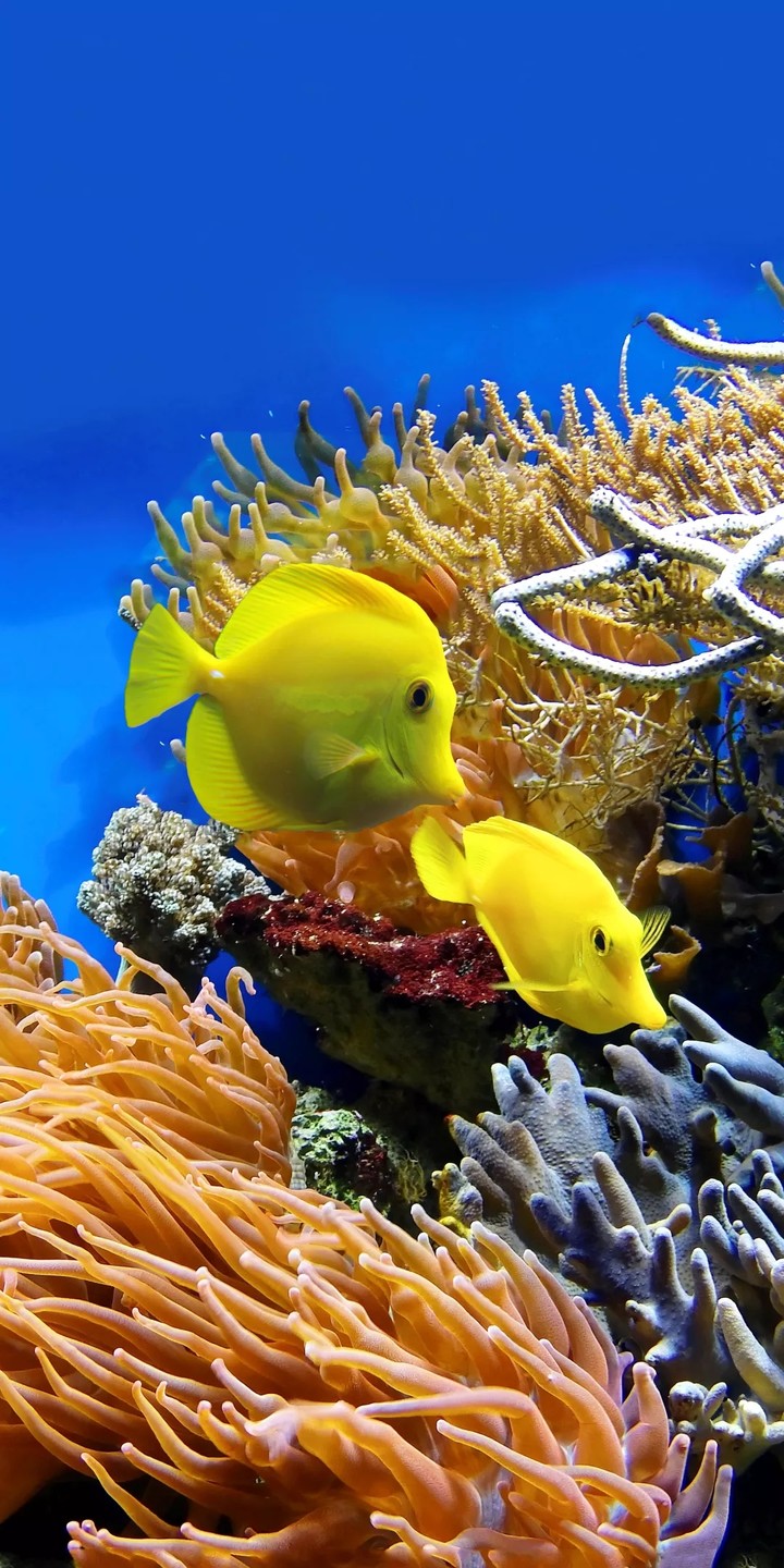 Underwater