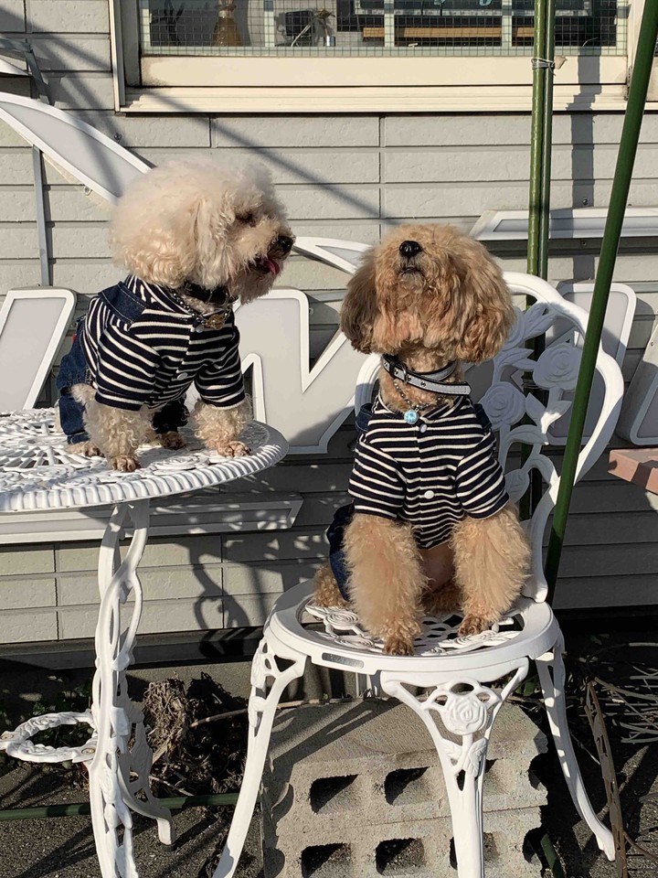 Lucky & Money