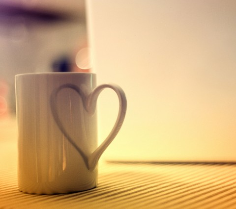 morning, cup Hintergrundbilder
