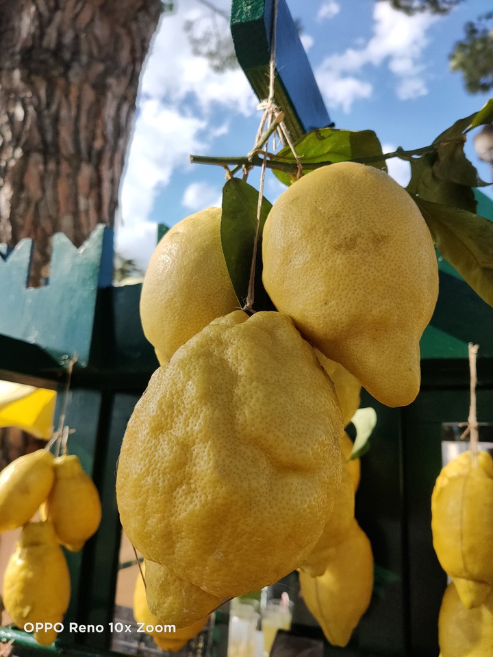 Limoni