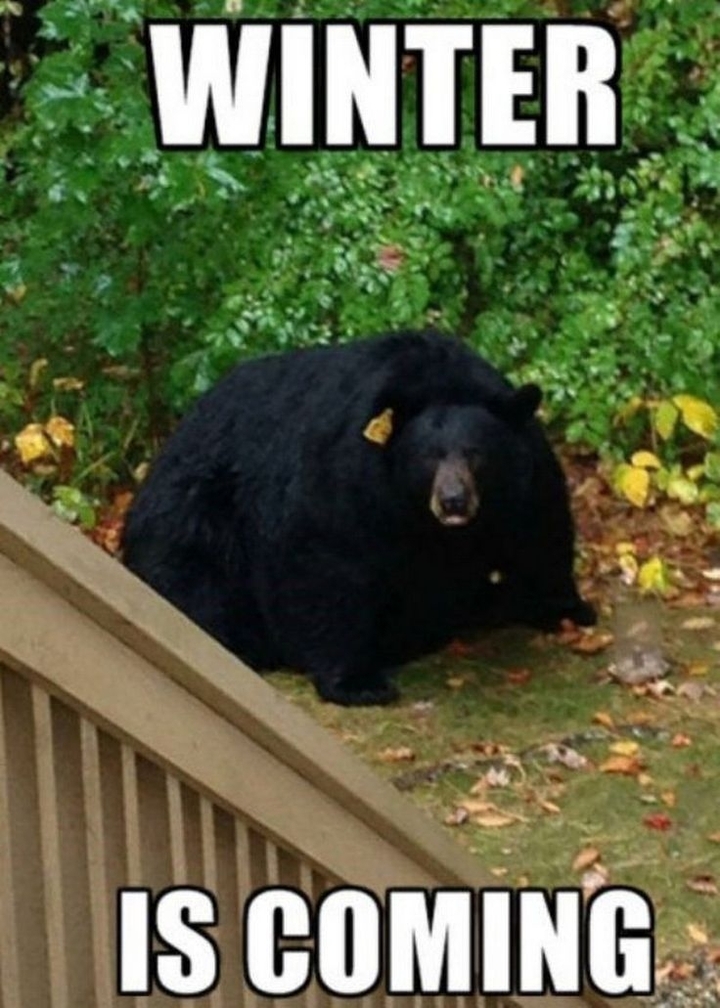 ?
