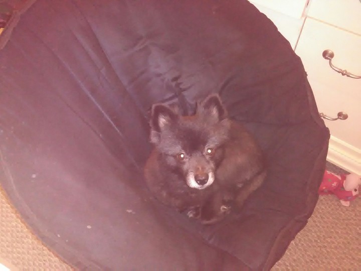 Precious relaxing