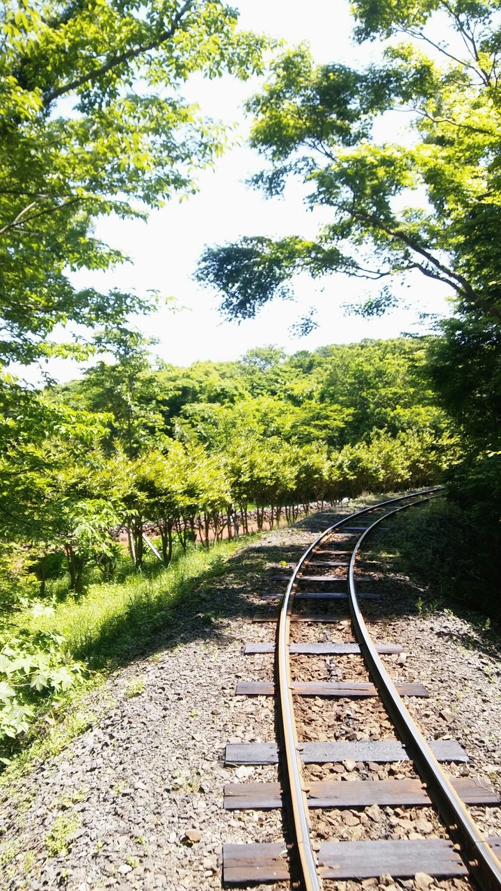 철길