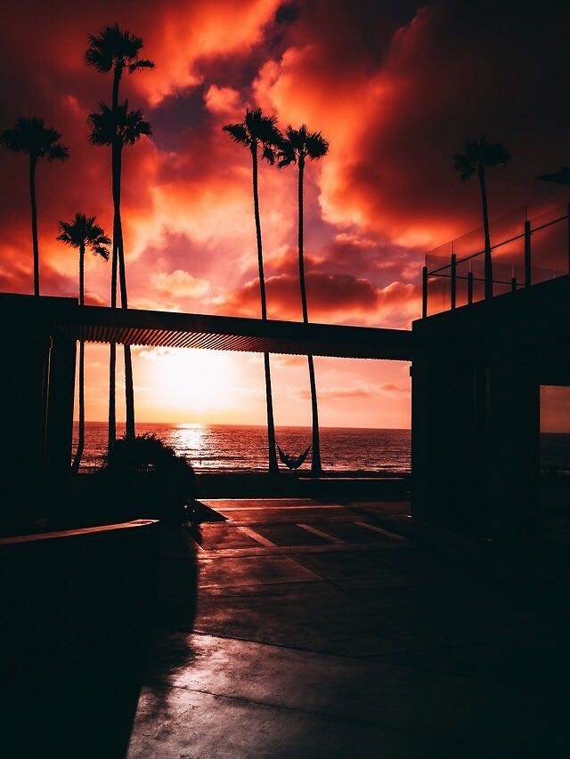 Red Sunset