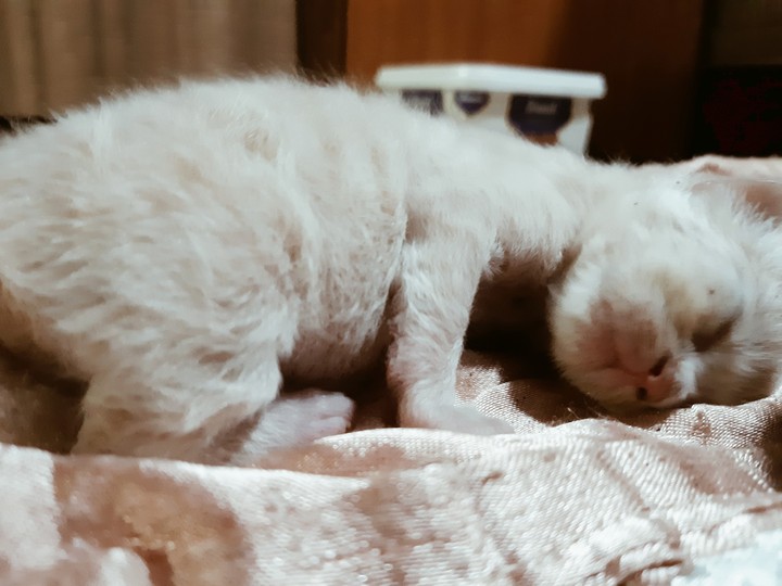 ❤❤❤