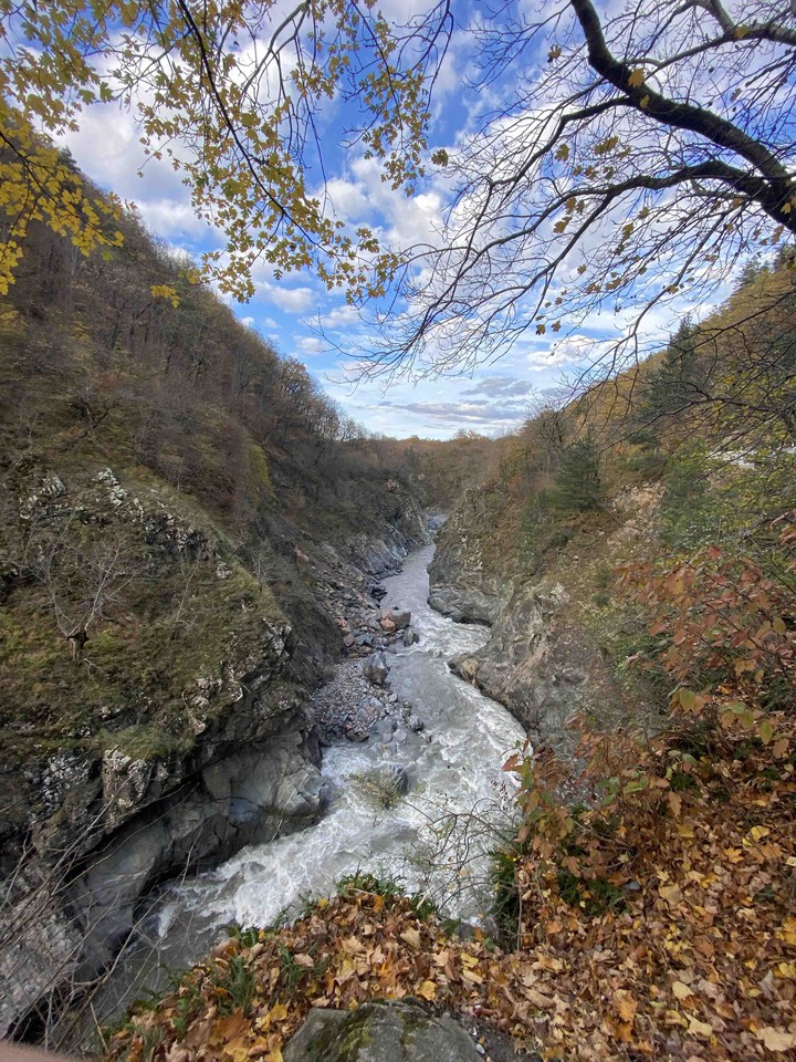 Adigeya