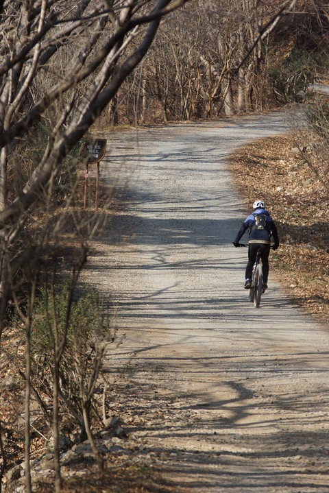hình nền bycycle, bicycle
