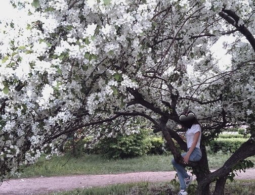 spring
