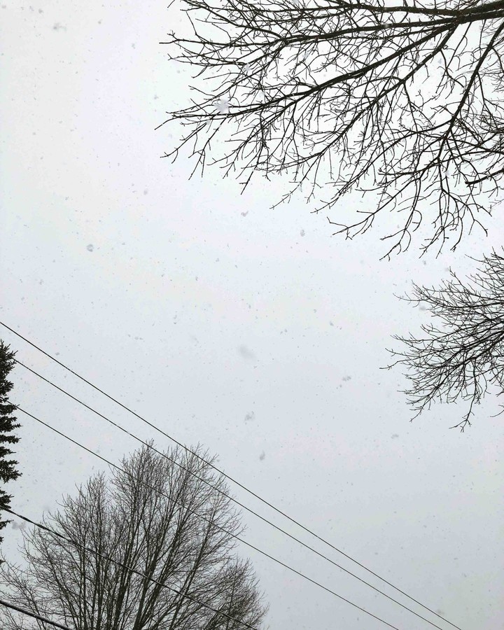 ❄️