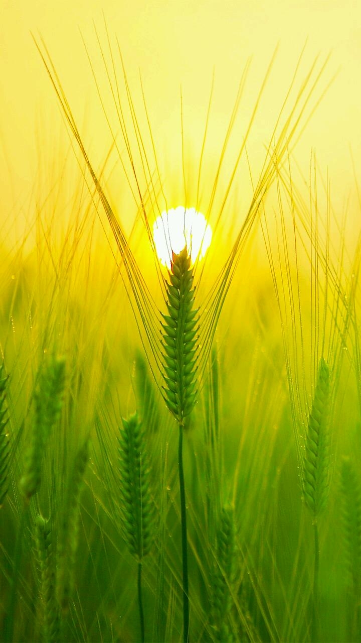 Wunderschöne Natur