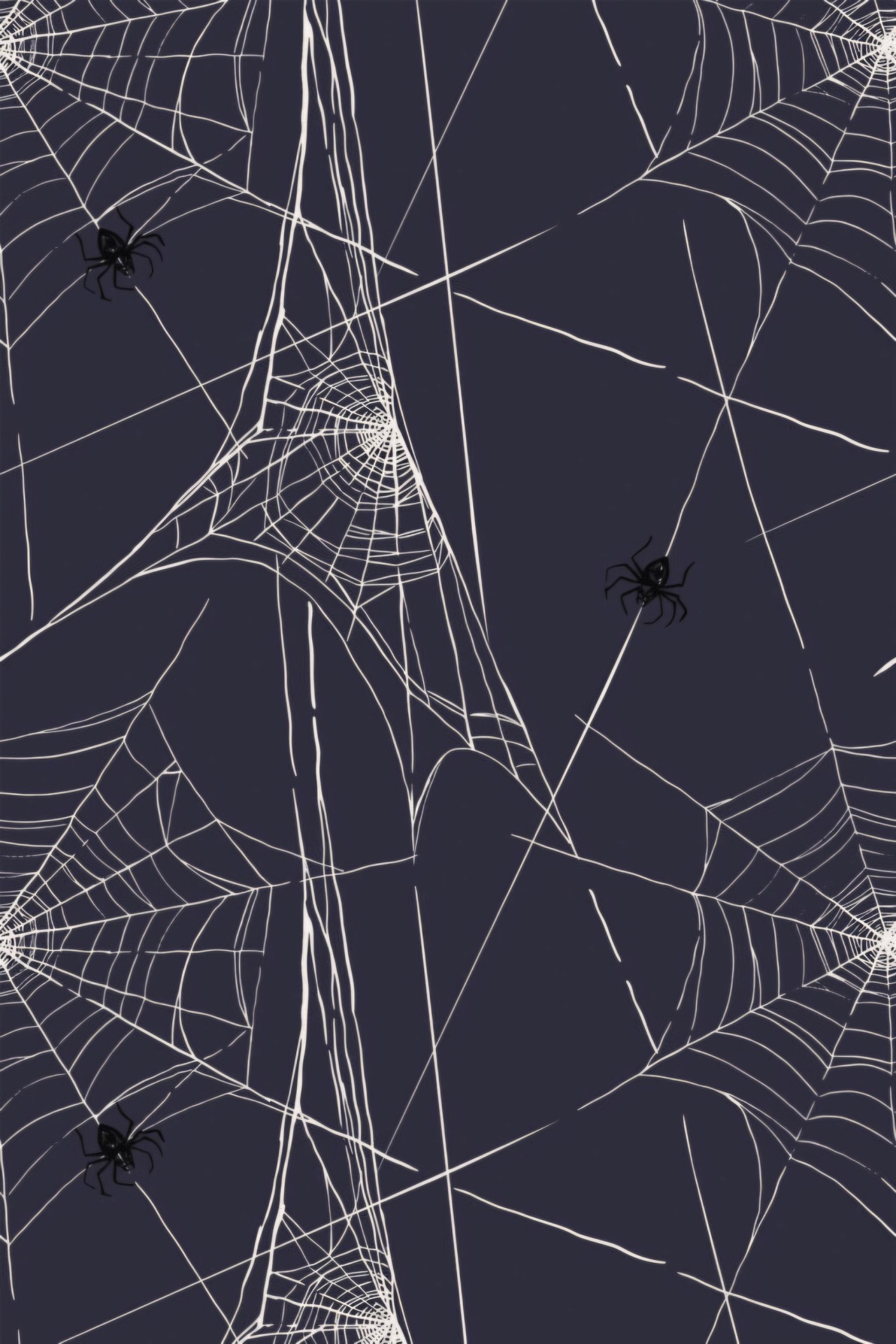 SPIDERWEBS and SPIDERS