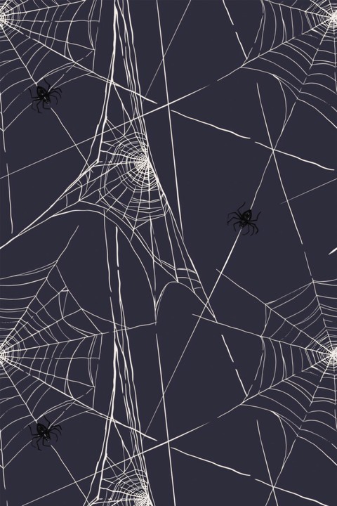 SPIDERWEBS and SPIDERS