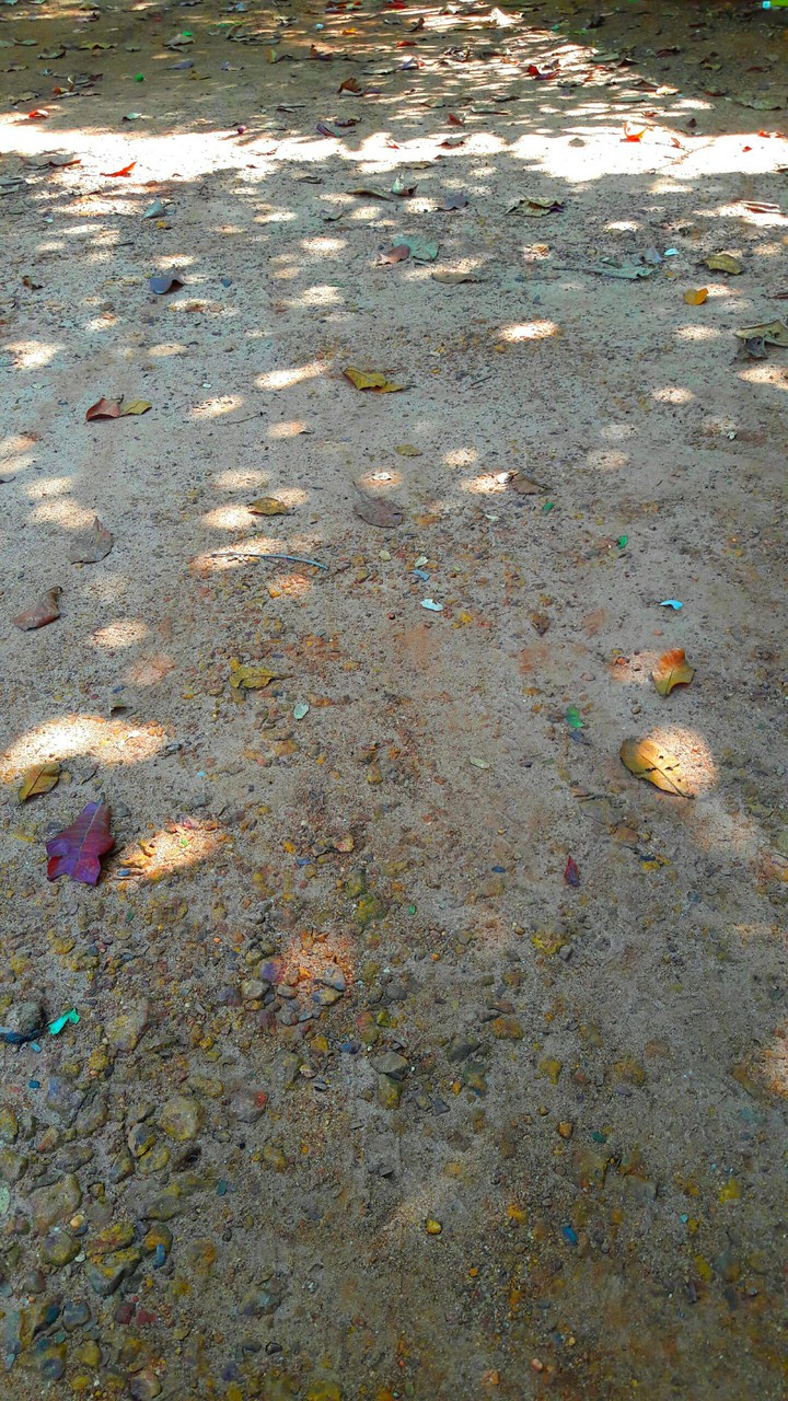 Beauty of Nature