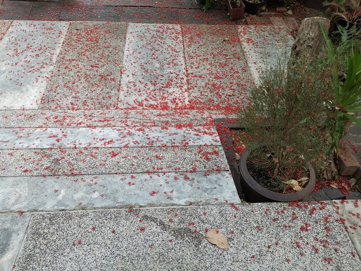 red pollen