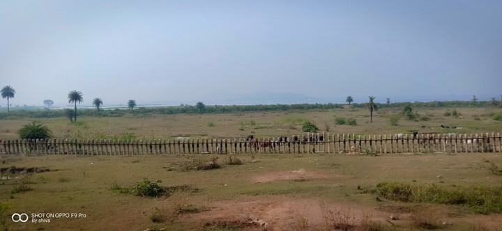 my farm2