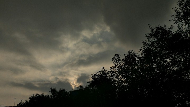 phone photography