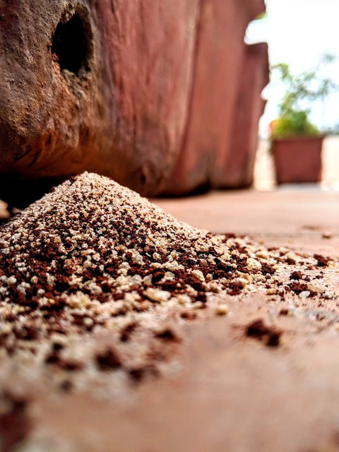 Sand grains from pot - put out by ants