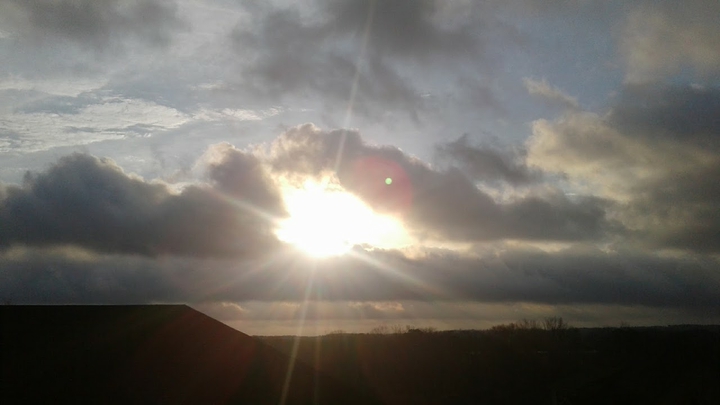 Sunlight in Alabama