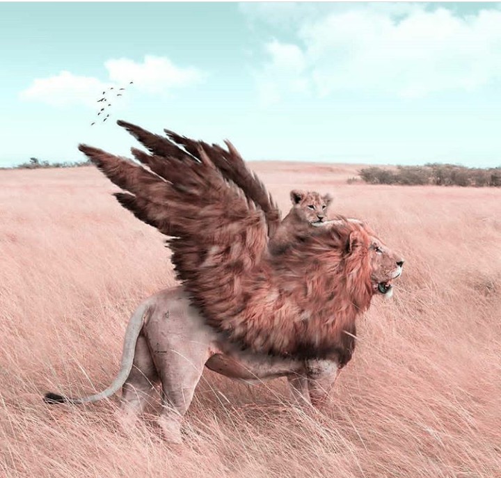 fantasy  art pics of animals ❤