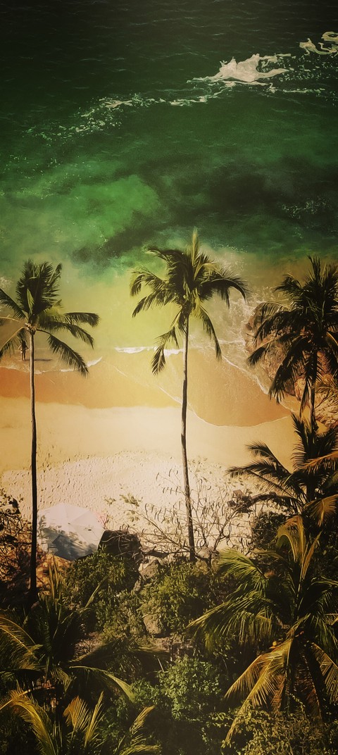 sfondi sunset, caribbean