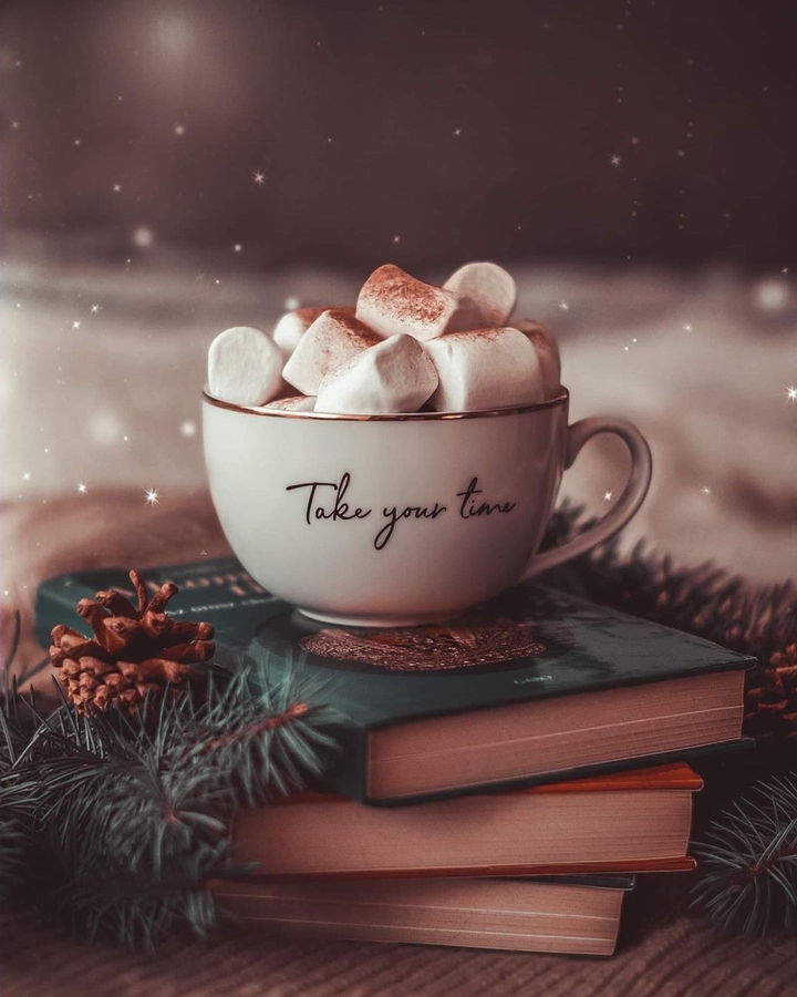 ⭐❄⭐❄⭐❄