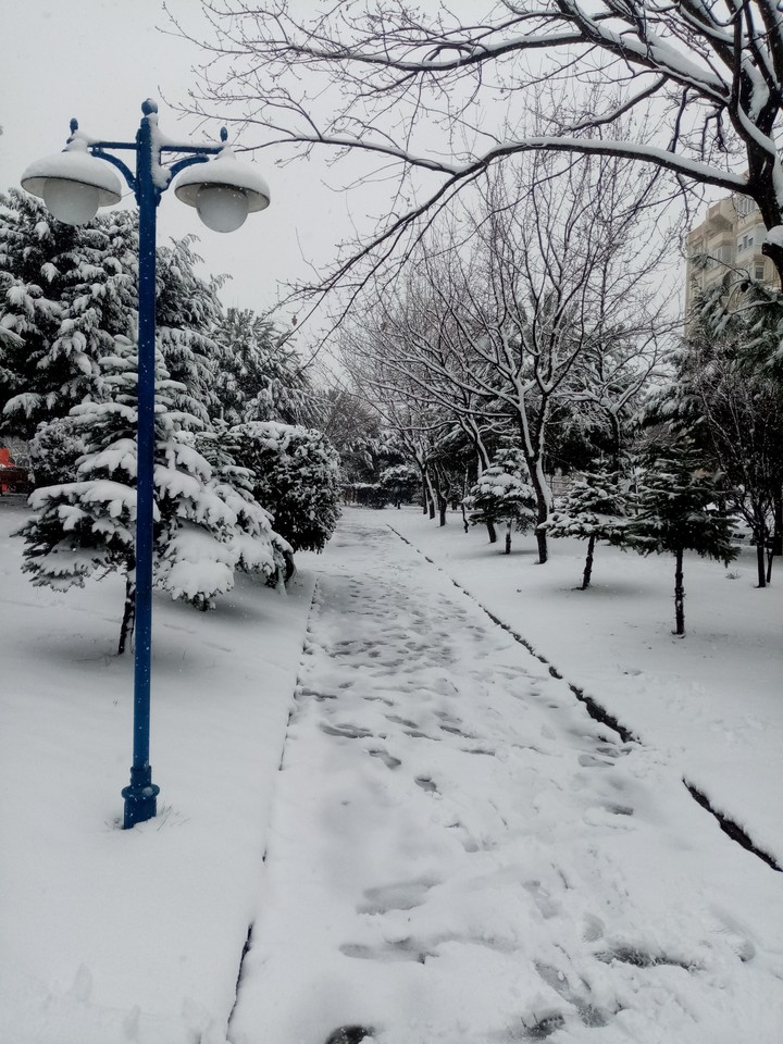 Kış güzeldir. Kar dahada güzeldir.