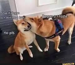 Memes :)