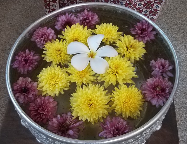 Flowers in the water in Thailand
