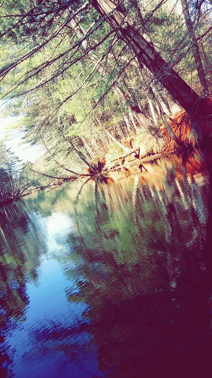 Fishing Trip