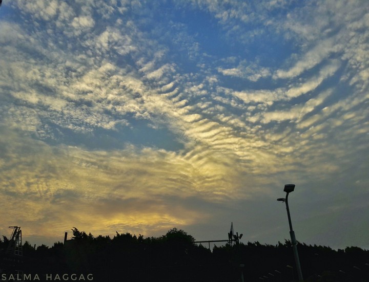 Sky