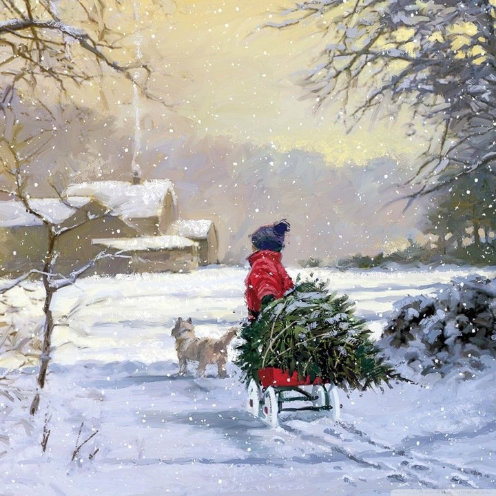 ♥️ Christmas  Forever