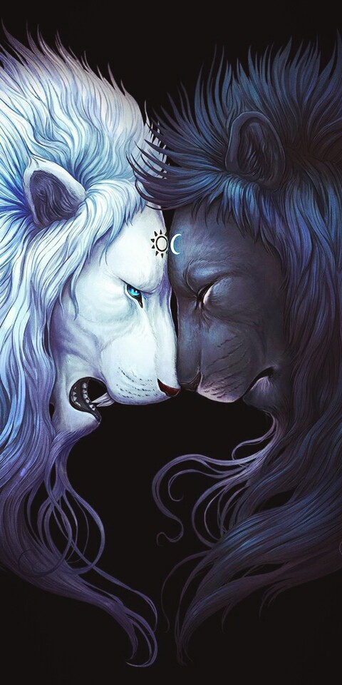 good and evil, ( day and night)