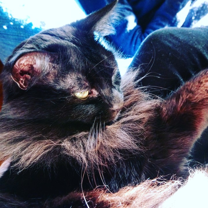 The Queen