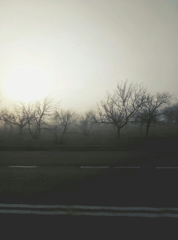 Journey to Odessa