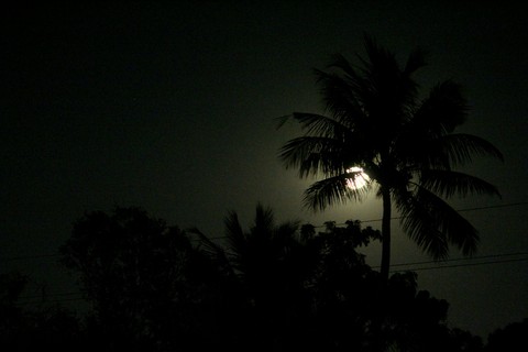 good night