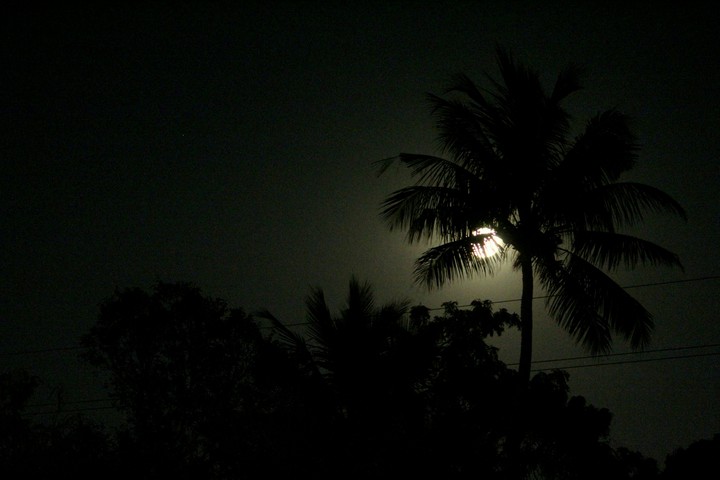 good night