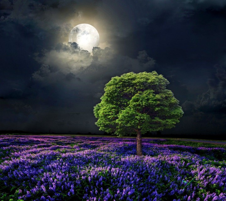 moon