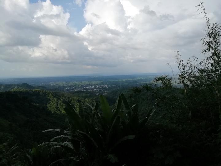 Nature