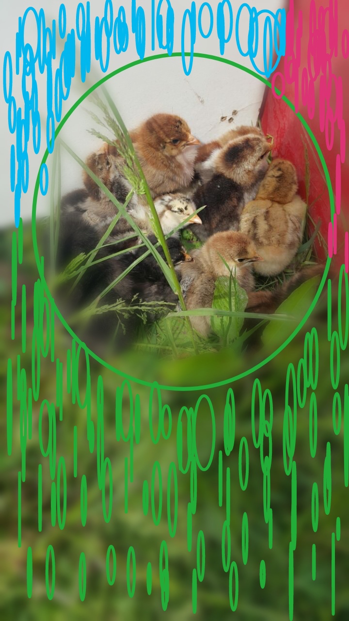 together