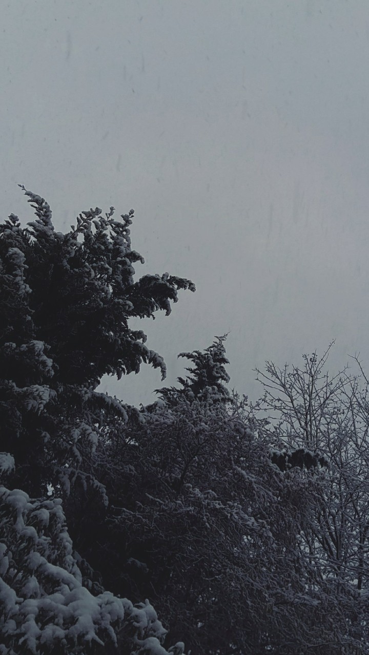 Winter sky