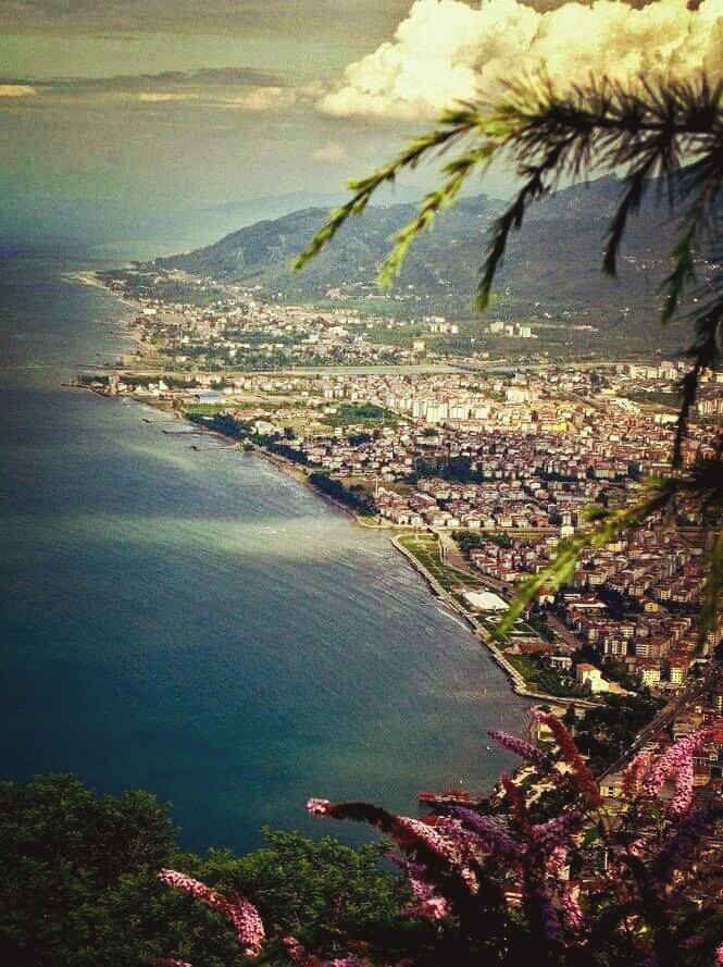 Ordu