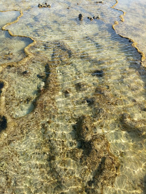 Rich from the ocean