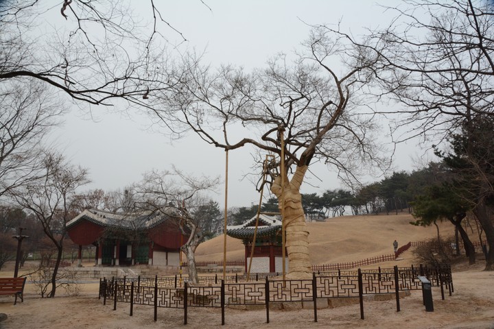 홍릉이미지
