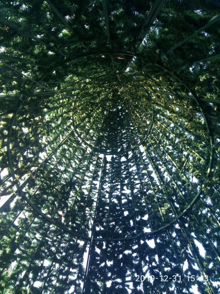 inside Christmas tree